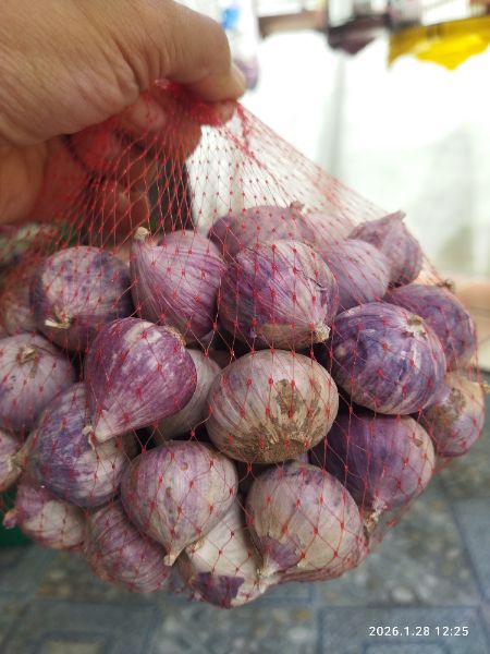 Detail Bawang Hitam Tunggal (black garlic) 400ml