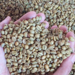 Biji Kopi Robusta Kemasan 1 Kg