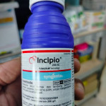 INSEKTISIDA INCIPIO 200SC