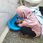 Perawatan bayi baru lahir